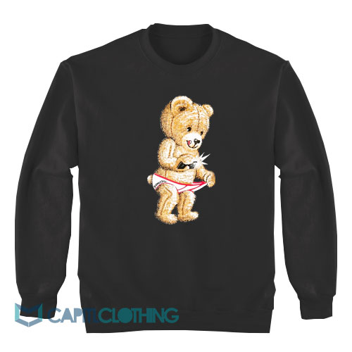 Teddy-Bear-Snap-Box-Sweatshirt1